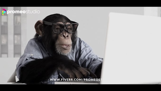 create a monkey business cinematic video ad