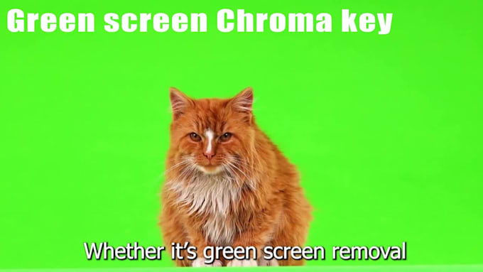 professional background remove for videos green screen