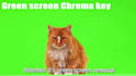 professional background remove for videos green screen