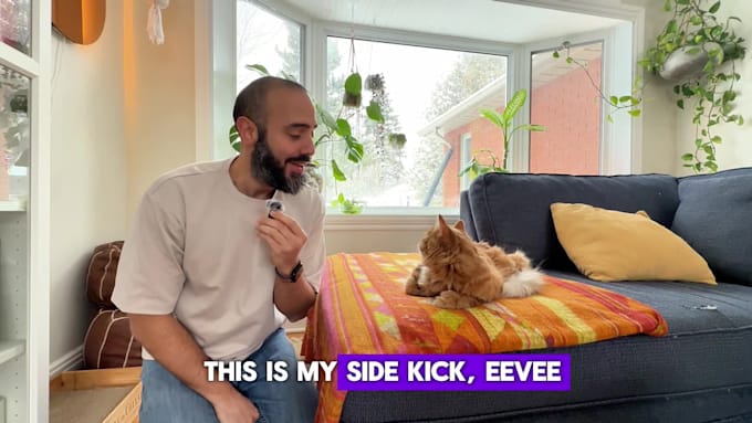 create engaging cat ugc video ads for your pet brand