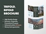 design brochure, flyer, leaflet, pamphlet, tri fold, bi fold