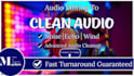 do professional audio repair and noise reduction