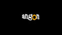 create a stunning 2d motion logo animation