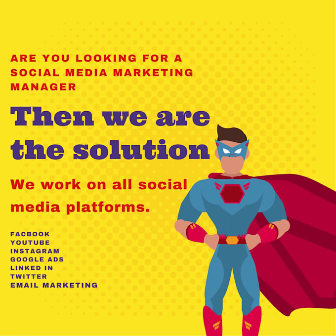 be facebook marketing manager and setup ads campaigns