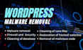 remove wordpress malware, virus removal and fix hacked website with security