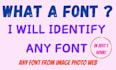 identify fonts with precision and speed for your projects