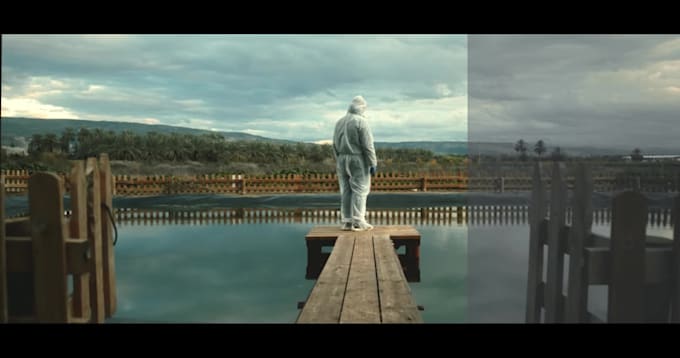 do professional color correction and color grading your video
