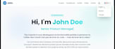build a professional portfolio website