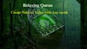 create a natural relaxing quran video