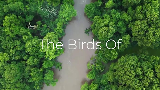 professionally edit your nature or animal videos