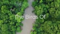 professionally edit your nature or animal videos