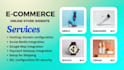 develop professional ecommerce solutions
