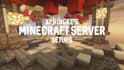 set up your minecraft server professionally