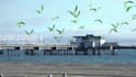 do vfx,rotoscoping, green screen removal, and cleanup