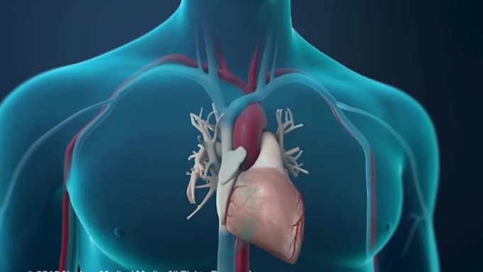 do 3d medical animation anatomy biotech scientific moa pharma 3d explainer video