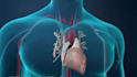 do 3d medical animation anatomy biotech scientific moa pharma 3d explainer video