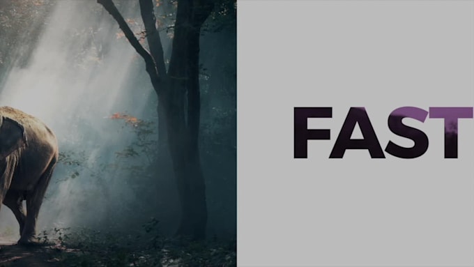 do anything in adobe after effects in 24 hours