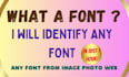 identify fonts swiftly and accurately for you