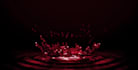 create custom water drop logo animation, intro or outro with professional text