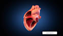 make high quality 3d medical animation video in cinema 4d, maya
