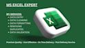 do ms excel data cleaning, formatting , merging , sorting
