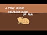 create story telling animation for youtube