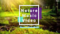 create 30 full HD relaxing music video
