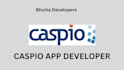 develop and caspio application, caspio flex application