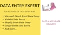 do accurate typing, data entry, copy paste, and web research