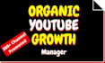 be your youtube channel manager, set up ads, and do video SEO