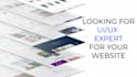 review your website or app, user testing, and give feedback