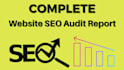 do website audit report and technical SEO with action plan