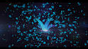 do cinematic video editing, after effects, motion graphics