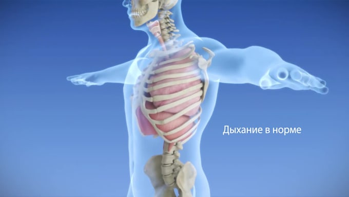create 3d patient education and surgical procedure animations
