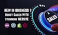 create a stunning user friendly ecommerce wordpress website