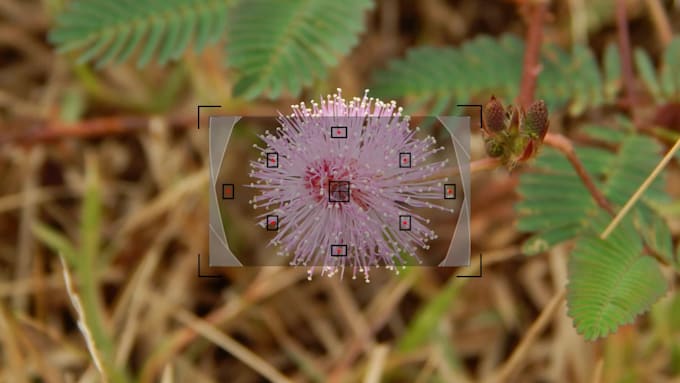 make camera focus photography logo intro