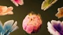 do 3d flower animation,3d flower design, plant animation, 3d plant animation