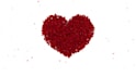 create lovely romantic song video with your picture or name