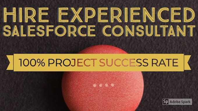 be your salesforce consultant  and developer