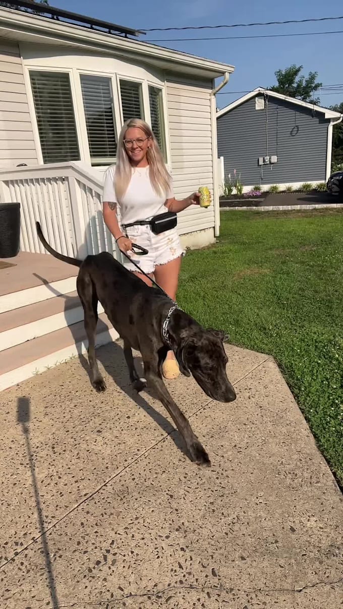 create large dog ugc video ads for tiktok, instagram or facebook with my