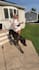 create large dog ugc video ads for tiktok, instagram or facebook with my