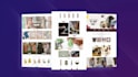 create shopify dropshipping store or shopify website