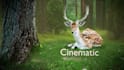 do parallax photo and image animation for you