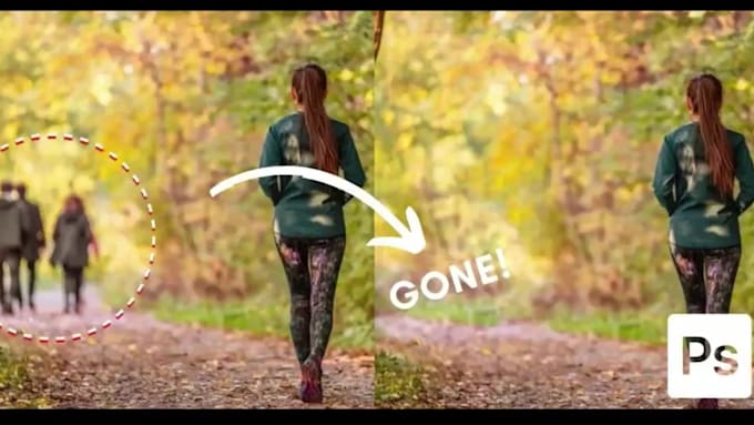remove text, logo, wire, object from video or image, film