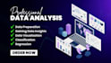 provide professional data analysis and data mining services