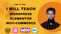 be your wordpress tutor elementor tutor or instructor as an elementor expert