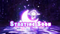 design animated cute custom stream overlay panels for twitch