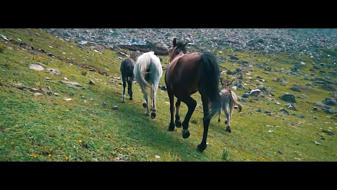 edit your cinematic projects, trailers, showreels, and promo