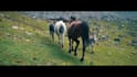 edit your cinematic projects, trailers, showreels, and promo