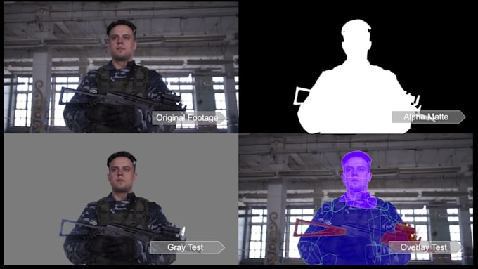 do vfx, rotoscoping, chroma keying professionally